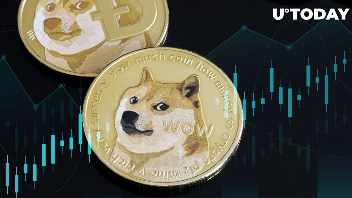 جهش ناگهانی 50 درصدی Floki Inu